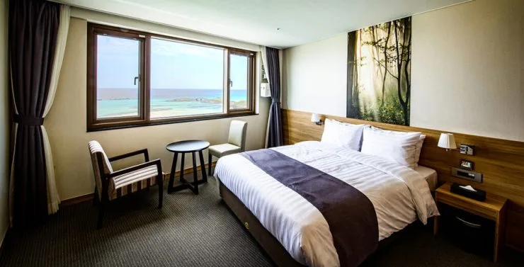 u-1024x521.jpg?resize740%2C377amp;ssl1