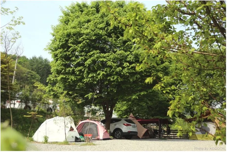 포천 캠프오후4시 4.JPG