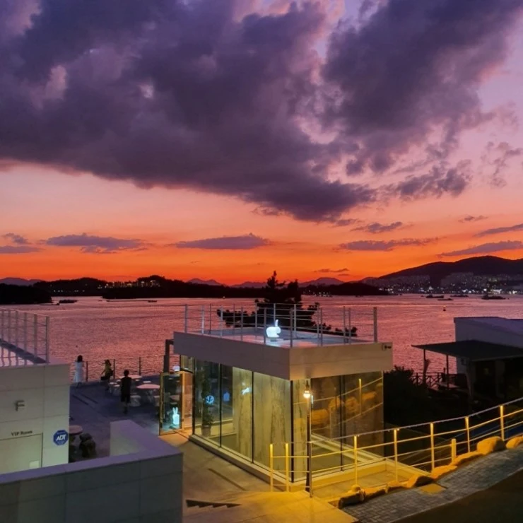 common-11.jpeg?resize740%2C740ssl1