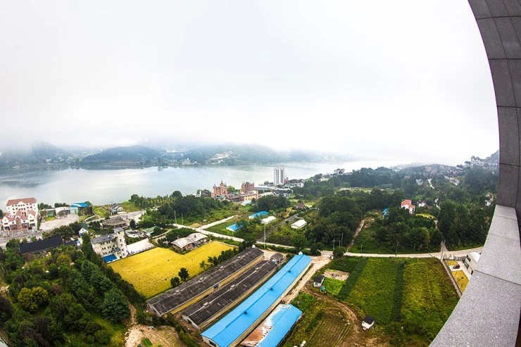 bea-2.jpg?w=740&amp;ssl=1