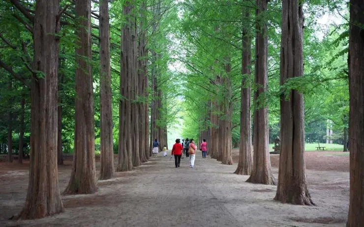 %EB%82%A8%EC%9D%B4%EC%84%AC.jpg?fit=740%2C463&ssl=1