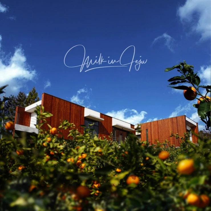 m-ex.jpg?fit740%2C740ssl1