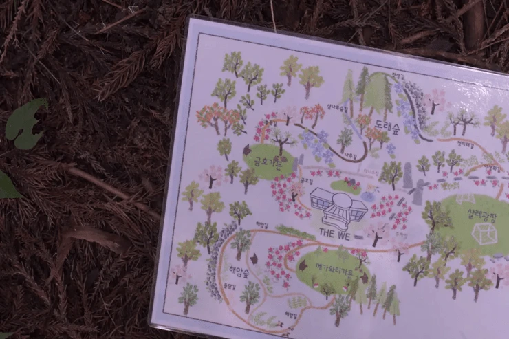 cf-11.png?resize740%2C493amp;ssl1