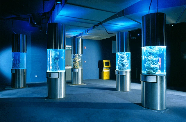 15082306251645.png?type=w1200