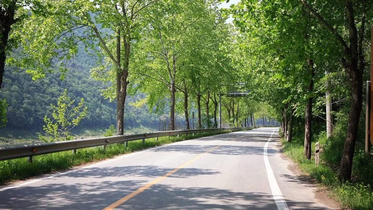 d-4.jpg?resize=740%2C416&ssl=1