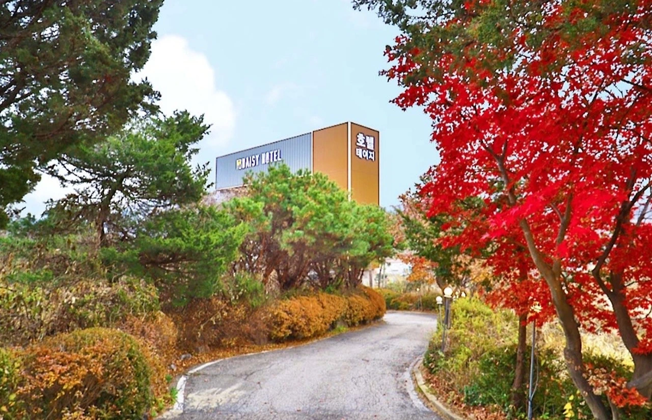 데이지호텔양평 (4).jpeg