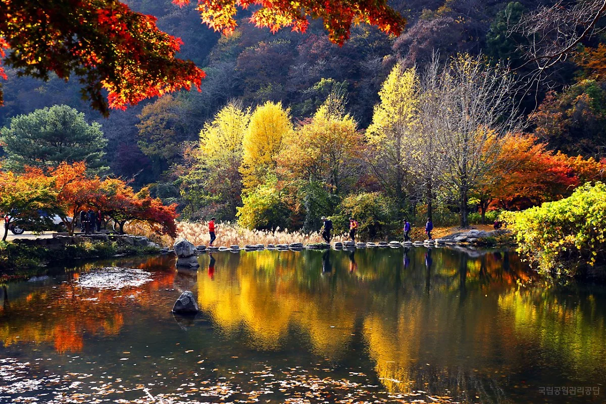 14041_%EB%82%B4%EC%9E%A5%EC%82%B0_%EB%B0%B1%EC%96%91%EC%82%AC%EA%B0%80%EB%8A%94%EA%B8%B8_%EC%A0%84%ED%9D%AC%EC%B2%A0_D.JPG?type=w1200