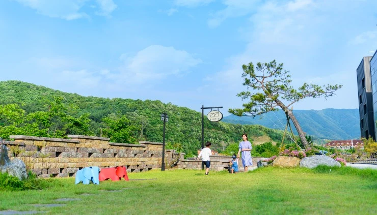 c-12.jpg?resize=740%2C423&ssl=1