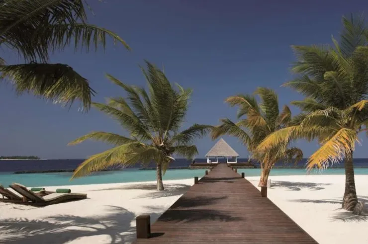 cc-5-1024x680.jpg?resize740%2C491amp;ssl1