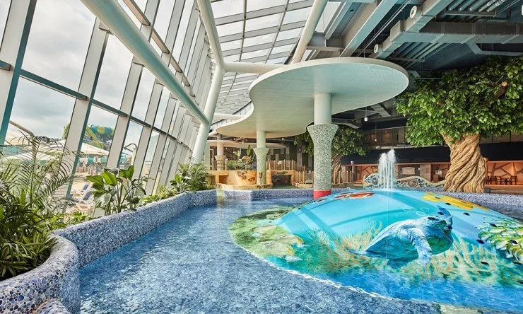 sw2.jpg?w740amp;ssl1