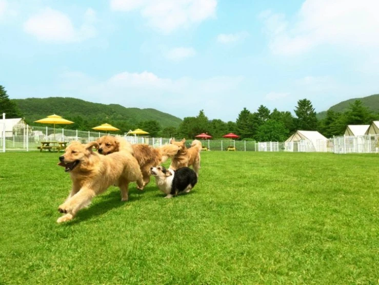 g3-3.jpg?w=740&amp;ssl=1