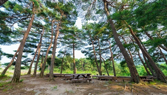 d-walk.jpg?w=740&ssl=1