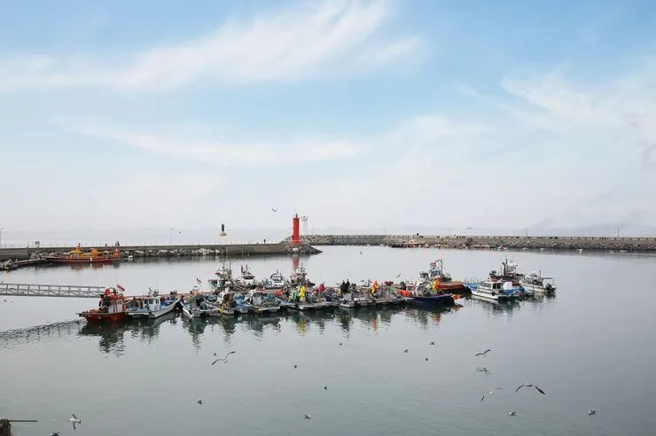 %EB%AC%B4%EC%B0%BD%ED%8F%AC.jpg?w=740&ssl=1