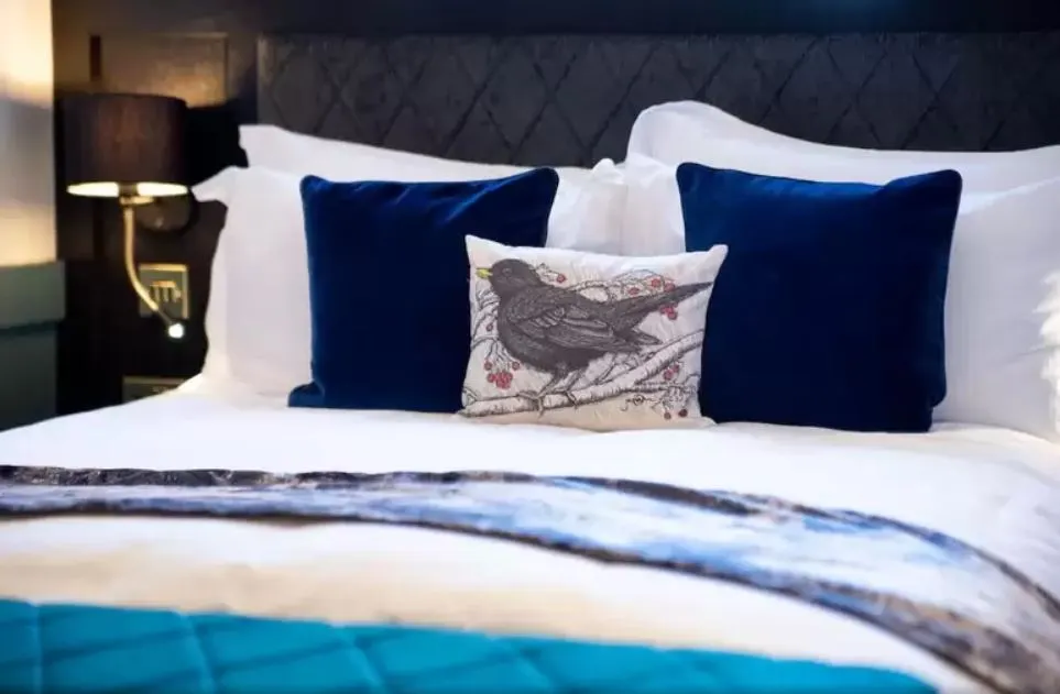 블랙버드 (3).JPG