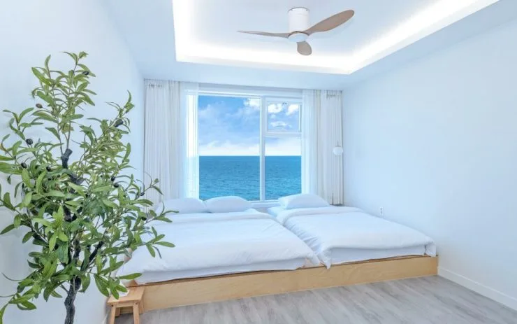 s2-3-1024x640.jpg?resize740%2C463amp;ssl1