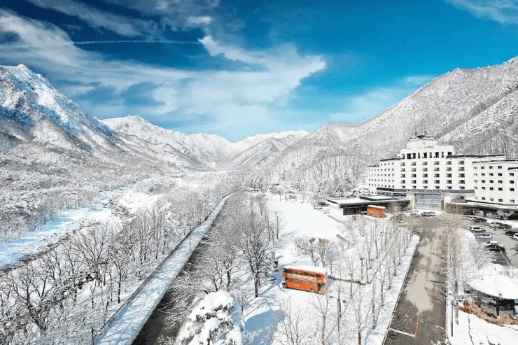 ad-8.png?resize=740%2C493&amp;ssl=1