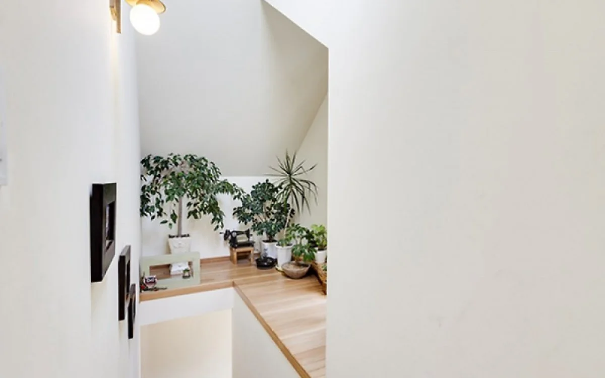 5cdce8480f88f9.78481259.jpg?type=w1200