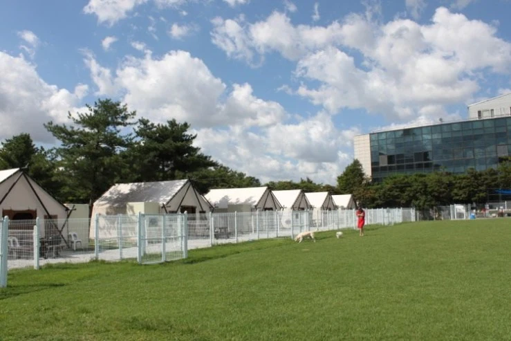 g-3.jpg?w=740&amp;ssl=1