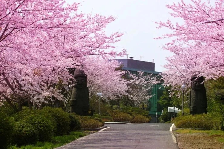 20-5.jpg?resize=740%2C494&ssl=1