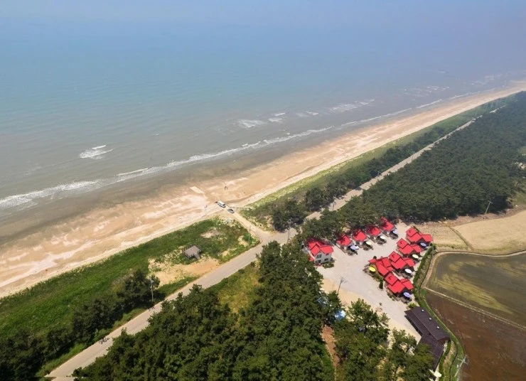 fe.jpeg?fit740%2C536ssl1