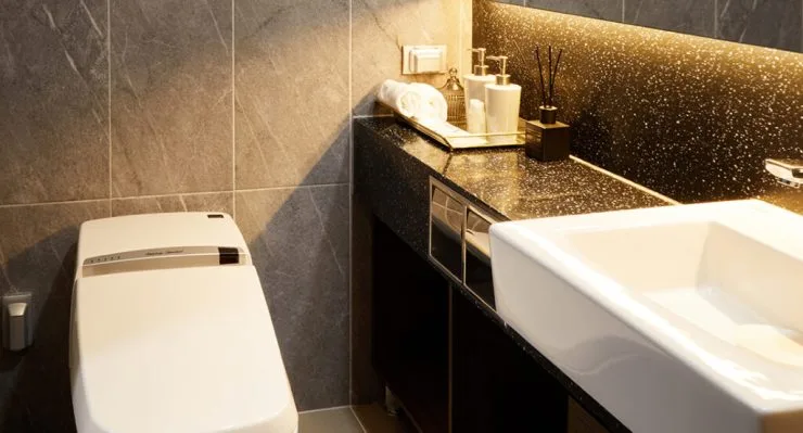 aa-6-1024x552.jpg?resize740%2C399amp;ssl1