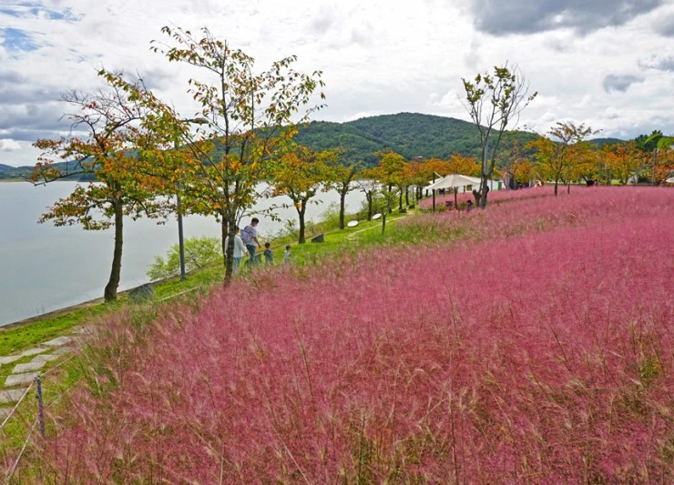 bo2.jpg?resize740%2C533amp;ssl1