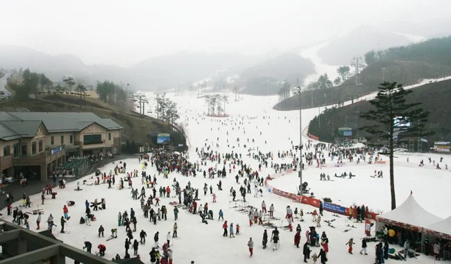 %EC%8A%A4%ED%82%A4%EC%9E%A5_%EC%A0%84%EA%B2%BD3_201129155158.jpg?type=w1200