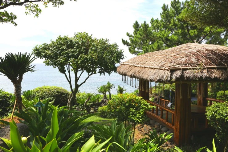 ac-5.jpg?resize740%2C494ssl1