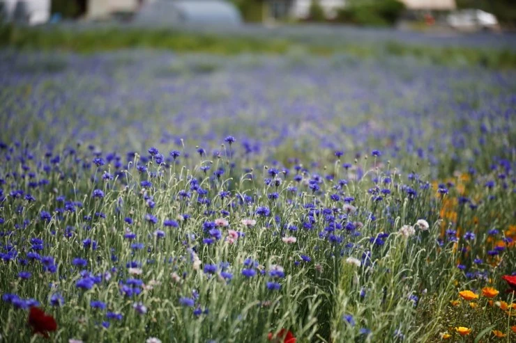 mmmmmmmm.jpg?resize740%2C493ssl1