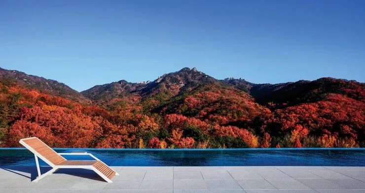 15-5-1024x543.jpg?resize740%2C392amp;ssl1