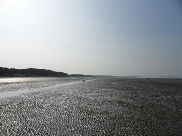 mong.jpg?resize740%2C555ssl1