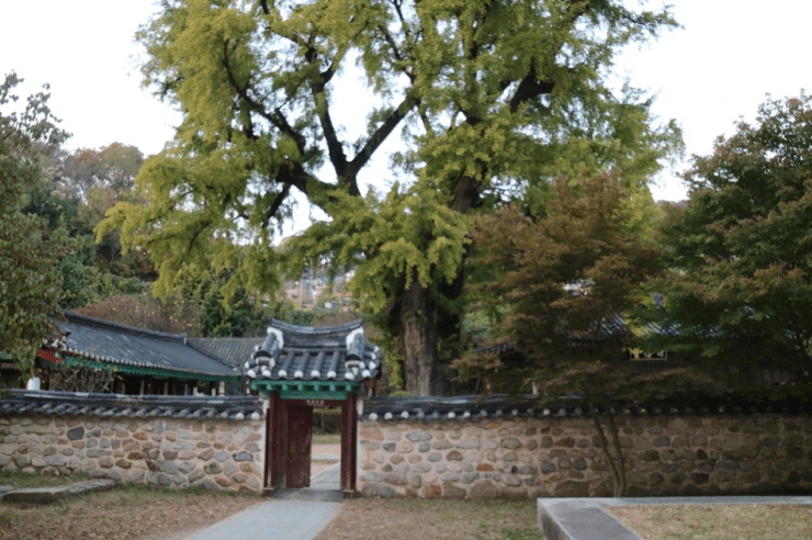 2-1.png?w740amp;ssl1