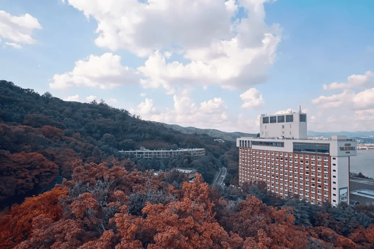 cf-2.png?resize740%2C493amp;ssl1