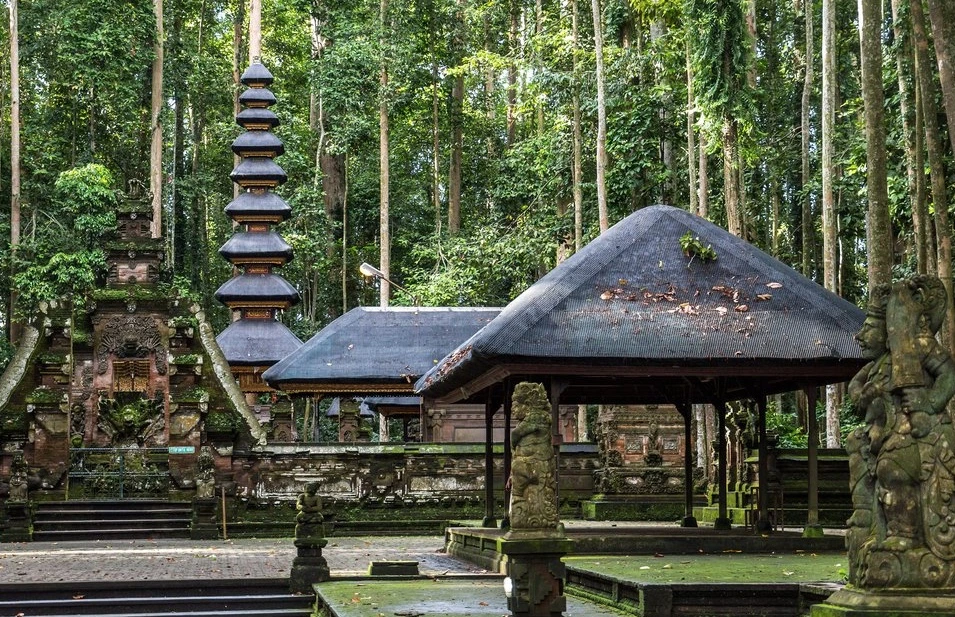 04 몽키 포레스트.jpeg