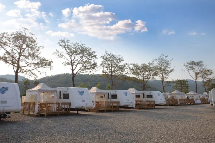 489-4c19e6575508e9d878a509ccec983d6e_30cc0.jpg?w740ssl1