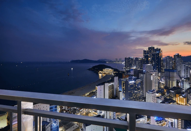 d-20.png?w=740&ssl=1