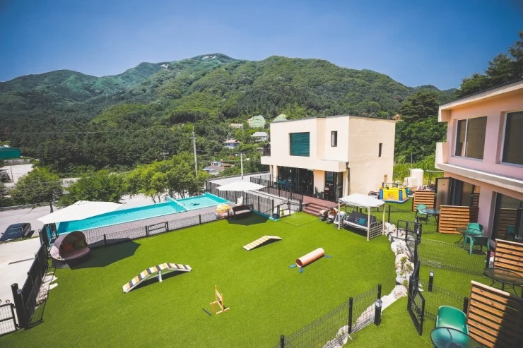 p-play-zone.jpg?resize740%2C493amp;ssl1