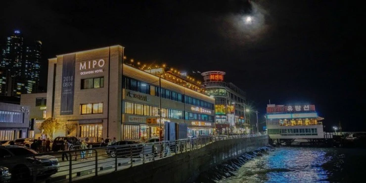 %EB%AF%B8%ED%8F%AC%EC%99%B8%EA%B4%80.jpg?w740ssl1