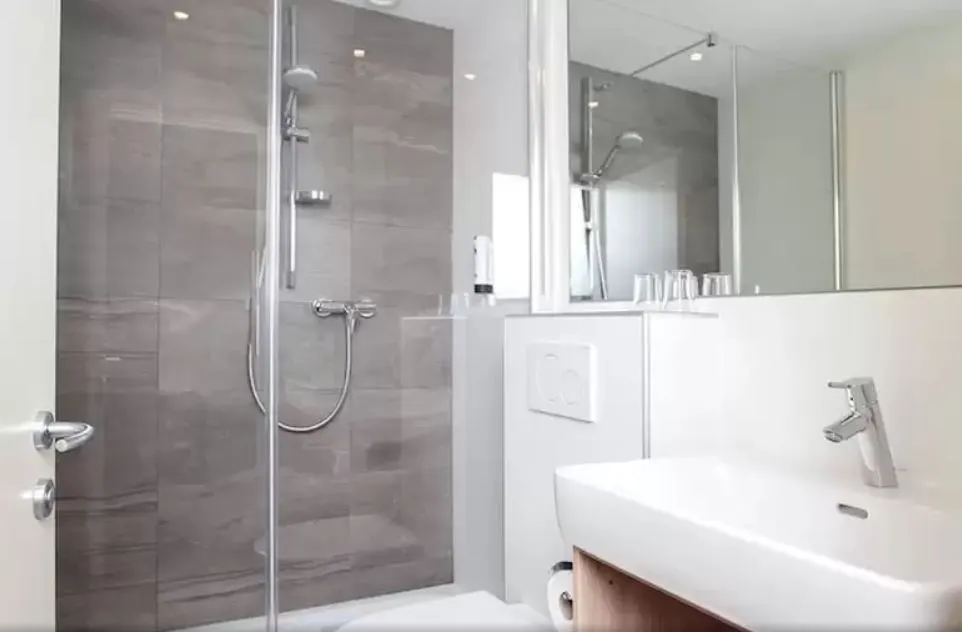 오텔 드 샤이 (5).JPG