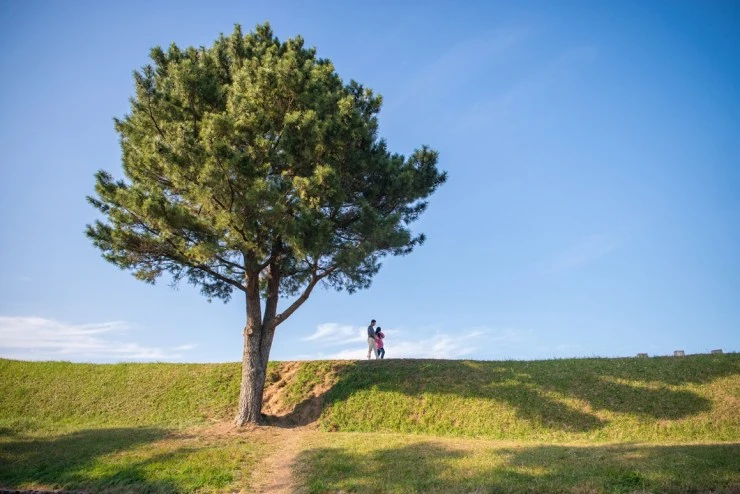 ae-4.jpg?resize=740%2C494&ssl=1