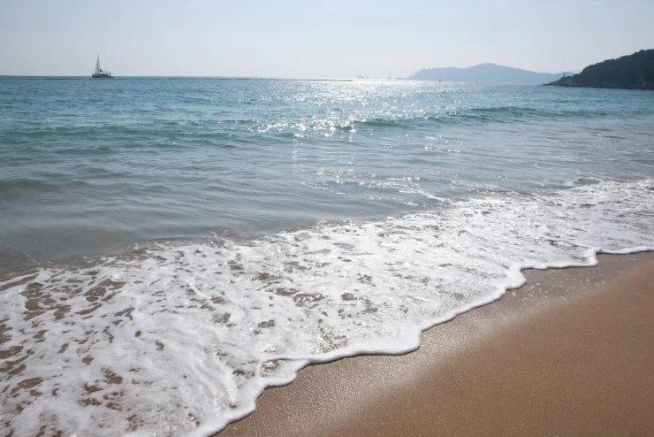 ccd.jpg?resize=740%2C494&ssl=1