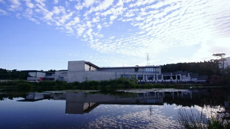 bonn.jpg?fit=740%2C416&ssl=1