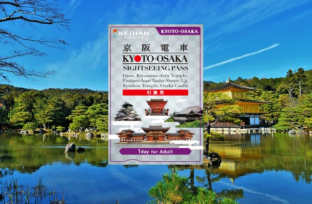 15133175392018.png?type=w1200