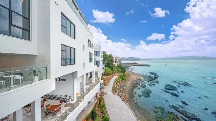 dfb-1024x575.jpg?resize740%2C416amp;ssl1