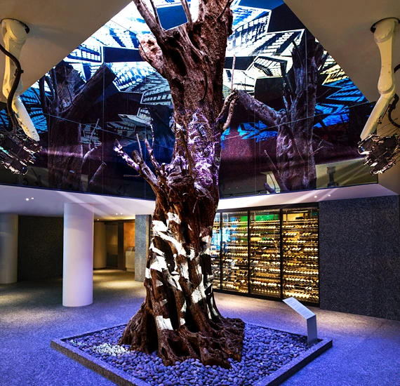 pic_about0101.jpeg?resize570%2C550ssl1