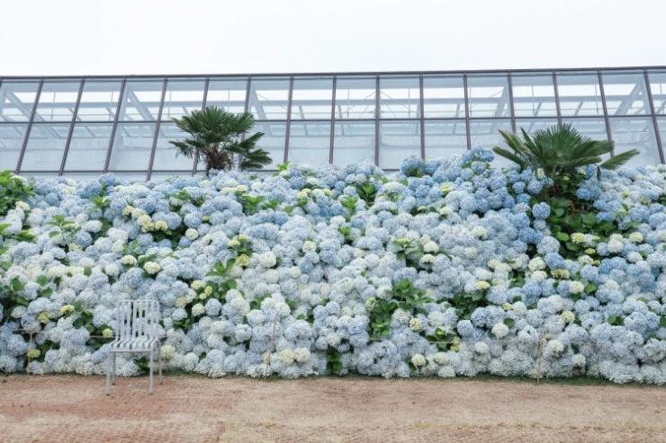 %E1%84%83%E1%85%A1%E1%84%8B%E1%85%AE%E1%86%AB%E1%84%85%E1%85%A9%E1%84%83%E1%85%B3-2022-05-12T230918.018.jpeg?resize740%2C493amp;ssl1