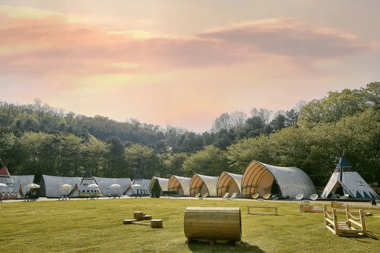 afa-2.png?resize740%2C493amp;ssl1