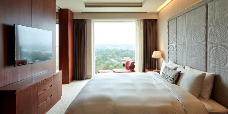 11-2.webp?resize740%2C370amp;ssl1