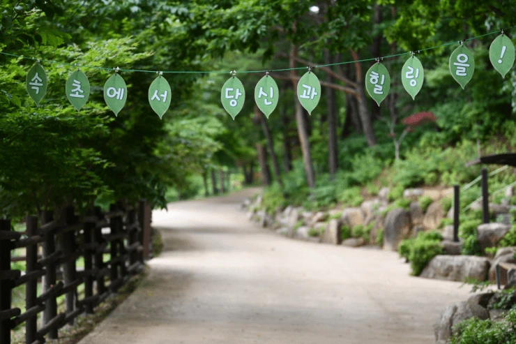 d-13.png?w=740&ssl=1