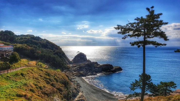 afa-1.jpg?resize=740%2C416&amp;ssl=1